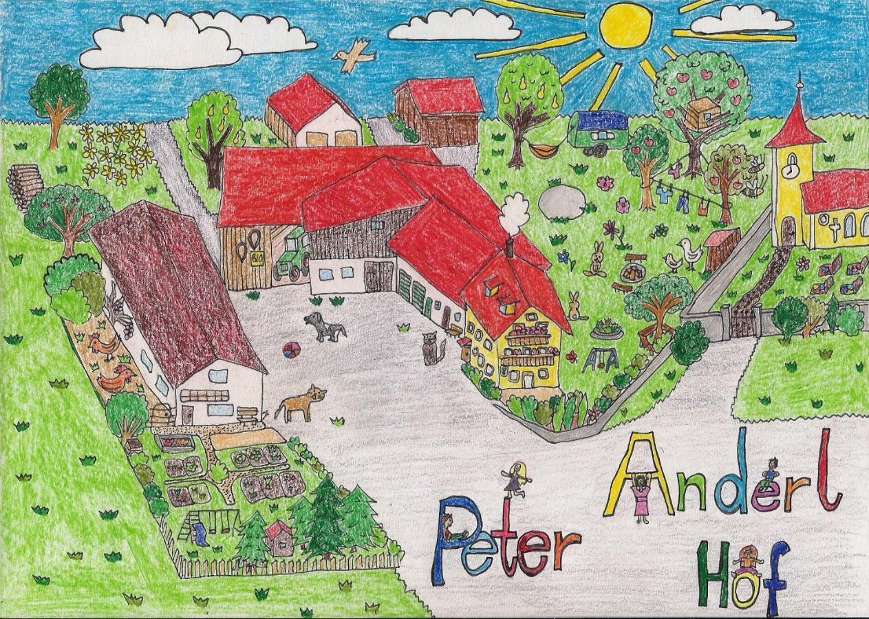 Ferienwohnung Biobauernhof Peter Anderl Hof Pfreimd Esterno foto